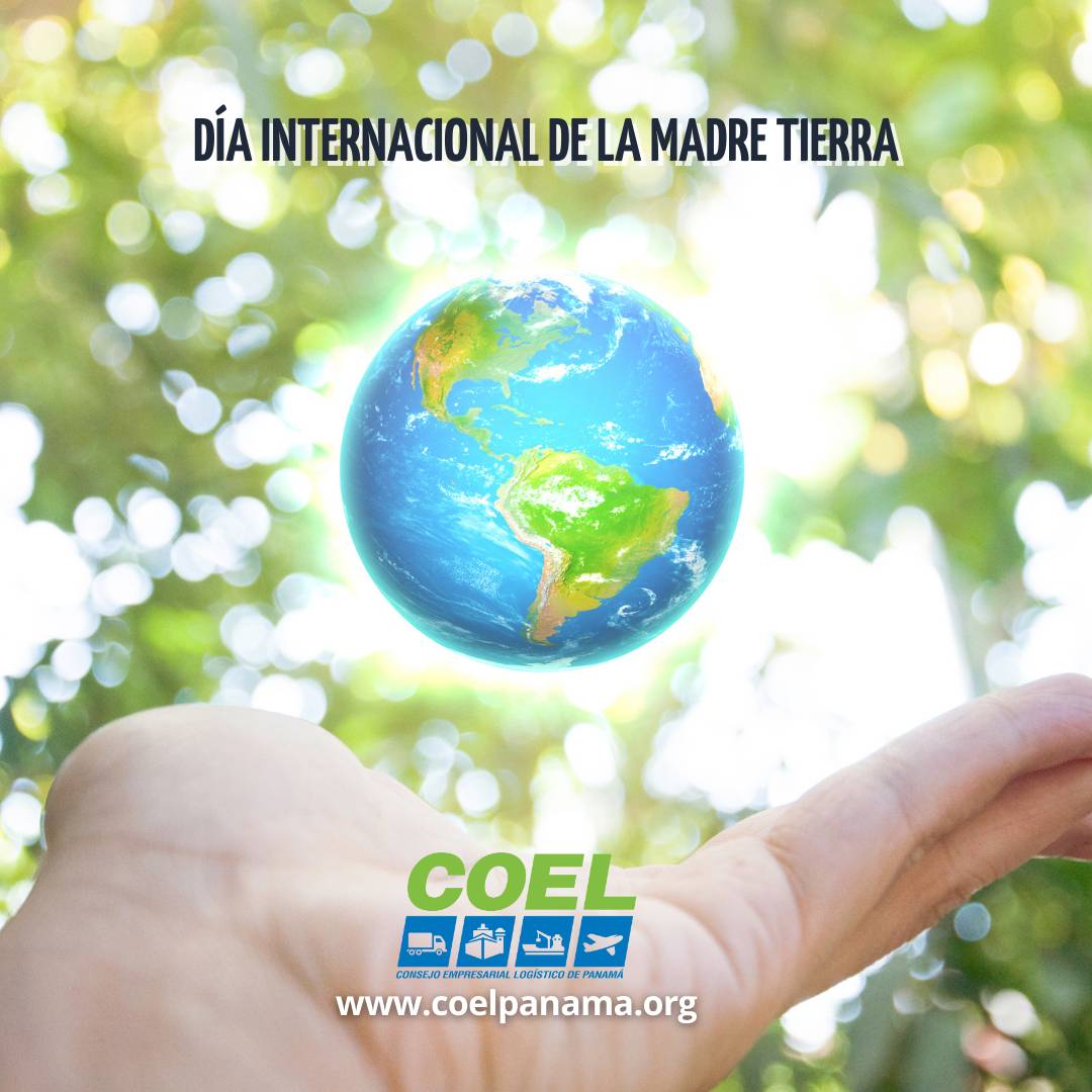 imagen-p